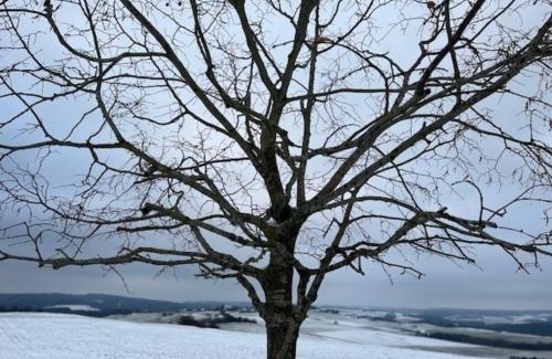 Wershofen Maison | Eifel-Bau-Traum Schlich