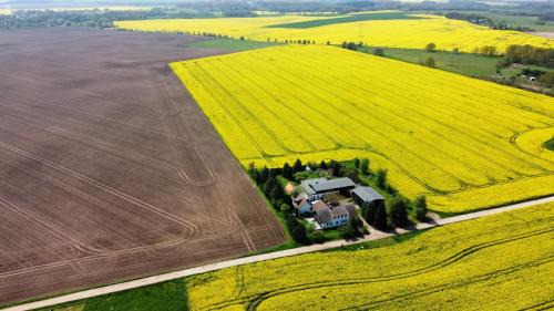 Schonfeld Maison | Ein Bett im Kornfeld - Haus Weitblick - mit Innenpool