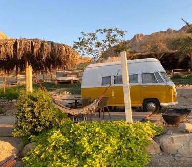 Ein Gedi Autre | Ein Gedi Camp Lodge
