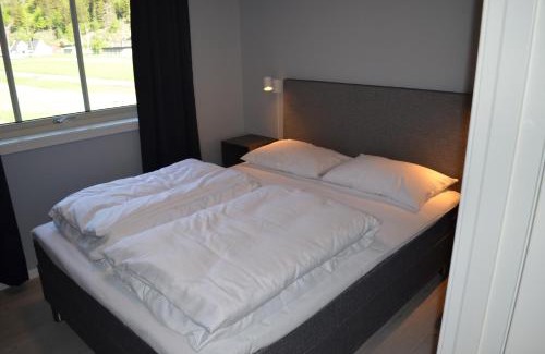 Laerdal Appartement | Einemo Apartments