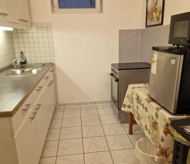 Waldshut-Tiengen Appartement | Einliegerwohnung mit 2 Zimmern, Badezimmer, küche