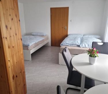 Waldshut-Tiengen Appartement | Einliegerwohnung mit 2 Zimmern, Badezimmer, küche