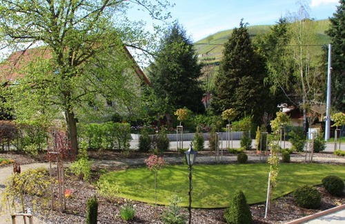 Steinbach Appartement | Einzelzimmer mit Gartenblick