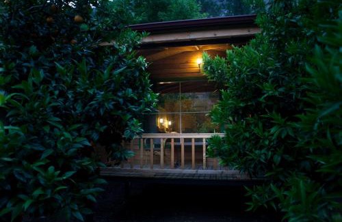 Olympos Lit Et Petit-Déjeuner | Ekinoks Hotel - Adults Only