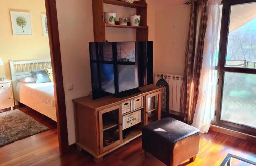 Boltana Appartement | El ático de la Gorga