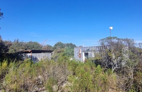 Las Rosas Maison | EL ANÍMICO container