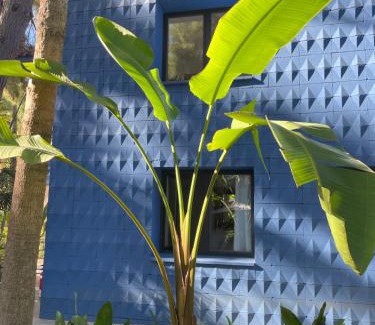 Sagra Maison | El botanico de Sagra