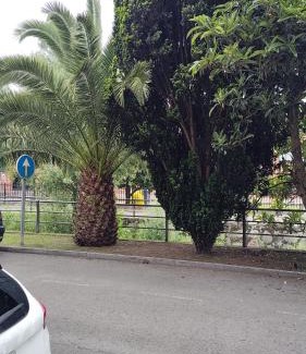 Mieres del Camino Appartement | El Caudalin de Mieres