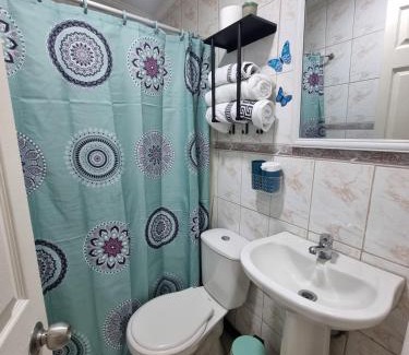 Vina del Mar Maison | El chalet del Gato, Loft en hermoso barrio central Viña del Mar