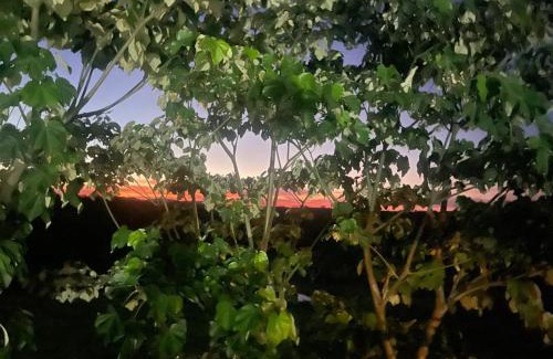 Necocli Autre | El Encanto de las Aguas