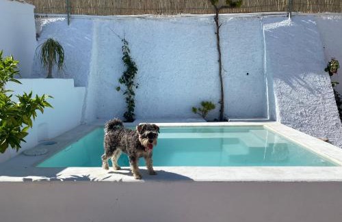 Nijar Maison | El Majuelo 2