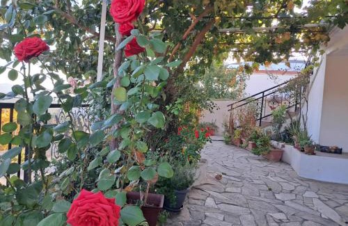 Thasos Appartement | El-Mi's little house in Theologos
