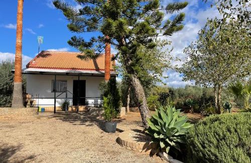 Bollullos de la Mitacion Maison | El Paraíso del Olivar