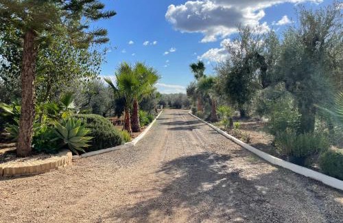 Bollullos de la Mitacion Maison | El Paraíso del Olivar