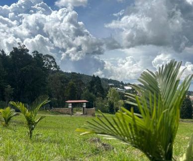Santa Sofia Maison | El placer