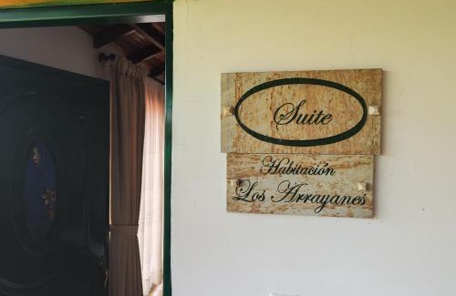 Guadalupe Maison | El portal de Don luis