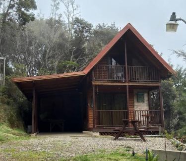 Copey Chalet De Ski | El Quetzalito Cabin