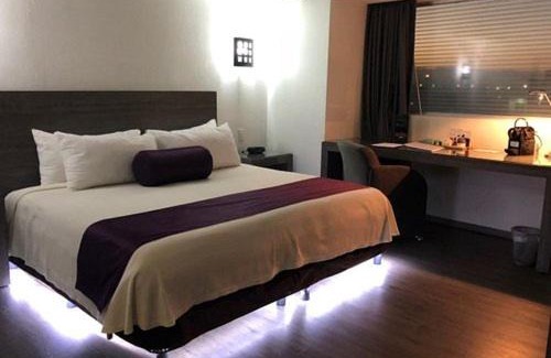 Merida Maison | El ranchito inn 2