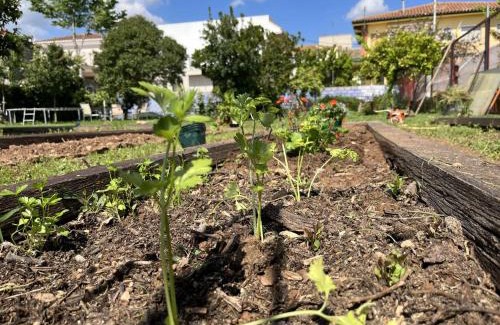 Algimia de Alfara Maison | El Secanet