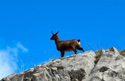 Santa Maria de Valdeon Maison | El Serenal