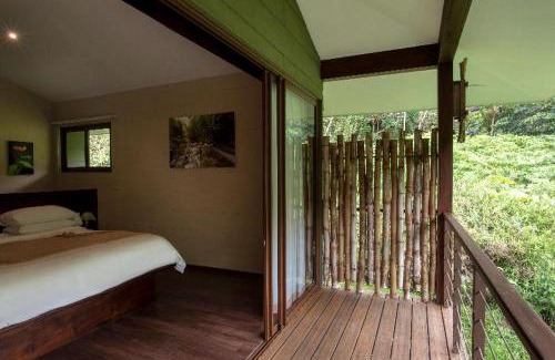 Toro Amarillo Cabine | El Silencio Lodge & Spa Costa Rica