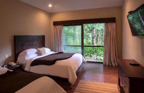 Toro Amarillo Cabine | El Silencio Lodge & Spa Costa Rica