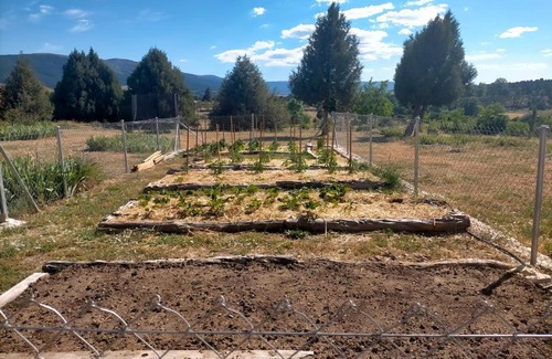 Pradena Maison | El telar arte y naturaleza