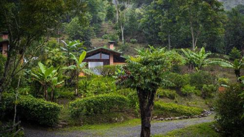 Copey Cabine | El Toucanet Lodge & Restaurante