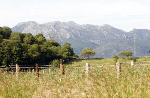 Pilona Maison | El Trebano