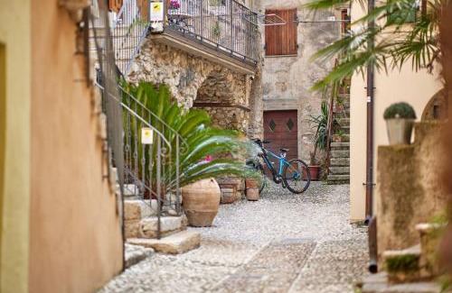 Cassone Maison | EL VOLT
