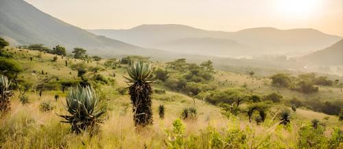 Waterval Boven Autre | Elangeni Holiday Resort