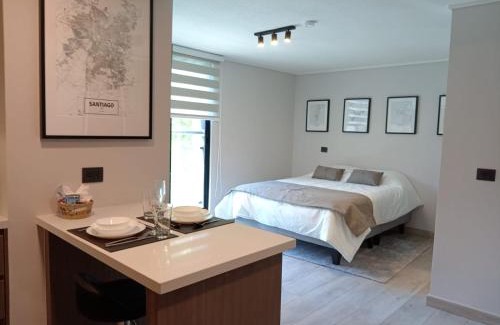 Providencia Appartement | ELDEPTO Padre Mariano Apart Hotel