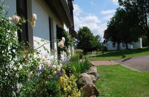 Dargun Appartement | Elegant Mansion in Barlin with Swimming Pool