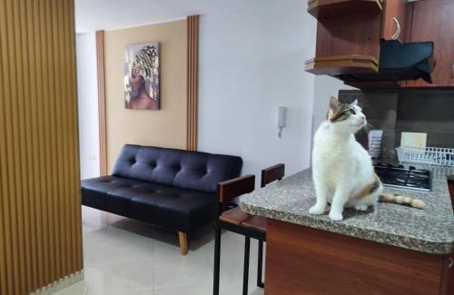 Bucaramanga Appartement | Elegante e Innovador Apartaestudio en San Alonso