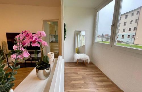 Scharding Appartement | Elegante Ferienwohnung in der Barockstadt Schärding