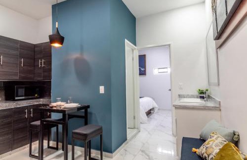 Zapotlanejo Appartement | Elegante Suite en el Centro de Zapotlanejo 204