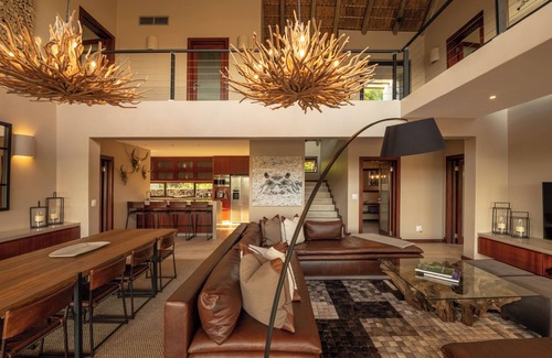 Belfast Maison | Elephant Point