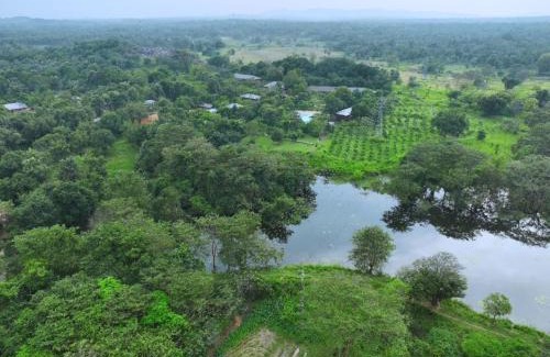 Dambulla Hôtel | Elephas Nature Resort