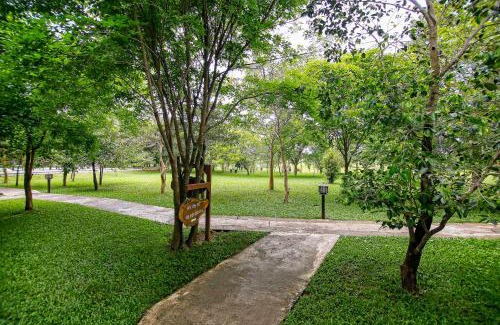 Dambulla Hôtel | Elephas Nature Resort