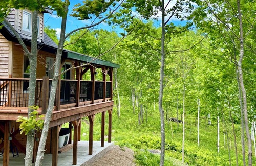 Canterbury Cabine | Elevated cabin nestled among the trees, and the Saint John River. Pet friendly.