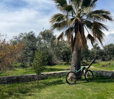 Prinos Maison | Elia & Petra Villa