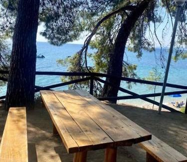 Elia Appartement | Elia Sithonia Apartment