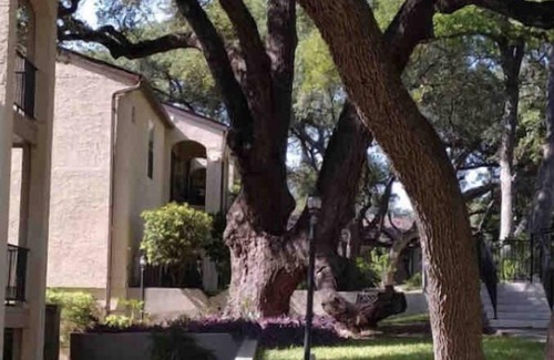 North San Antonio - SAT Copropriété | Eli’s and Emm’s Condo