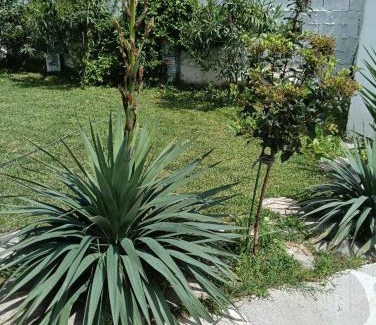 Paralia Ofryniou Appartement | Elizabeth's apartment1