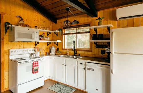 Packwood Cabine | Elk Cabin, Hot Tub, AC, Fire Pit, River Access