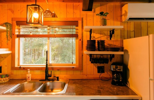 Packwood Cabine | Elk Cabin, Hot Tub, AC, Fire Pit, River Access