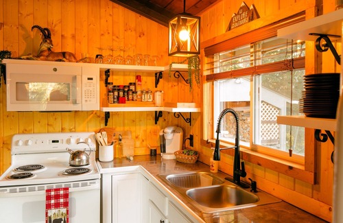 Packwood Cabine | Elk Cabin, Hot Tub, AC, Fire Pit, River Access