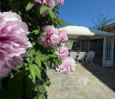 Mondovi Appartement | ElleCi Casa Vacanze