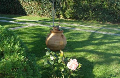 Velika Appartement | Elli