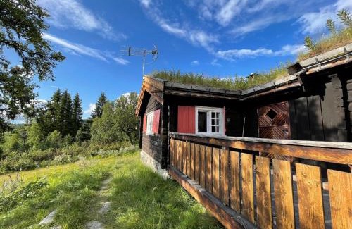 Venabygd Maison | Elveseter - log cabin with an amazing view
